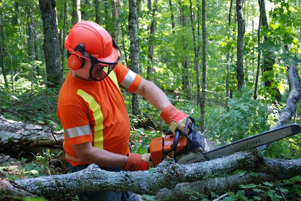 man using chainsaw in forest