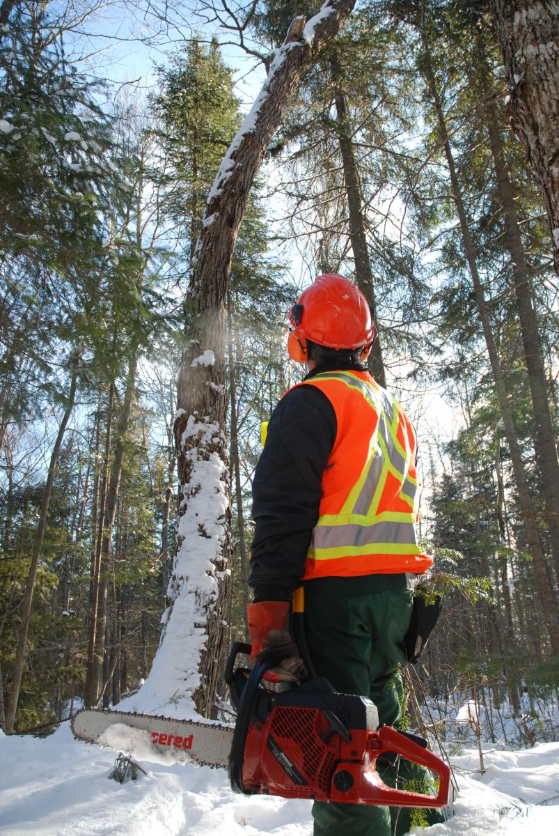 Forestry worker holding chainsaw standing in winter forest