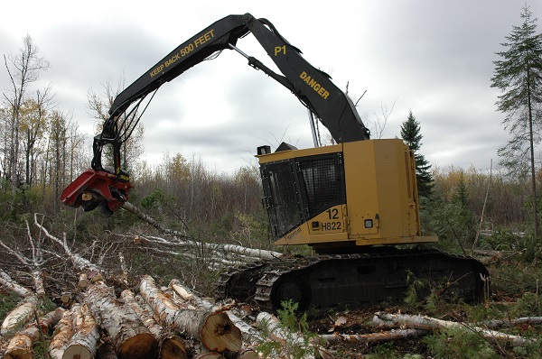Forestry processor