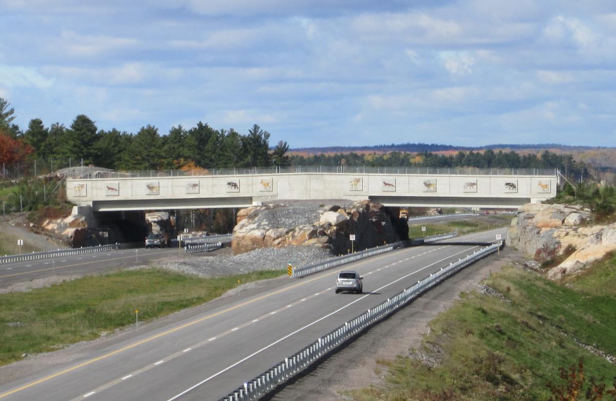 Wildlife bridge crossing near Sudbury Highway 69