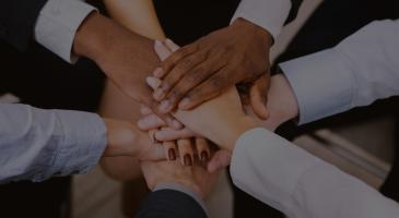 WSN Board of Directors Recruitment