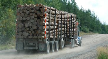 Truck driving on logging road