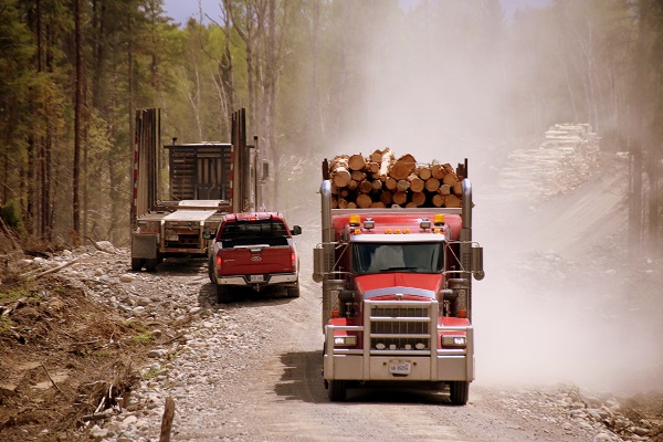 Pick-up drives between two logging trucks