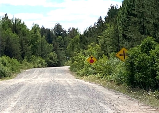 Forest road with railway warning signage visible