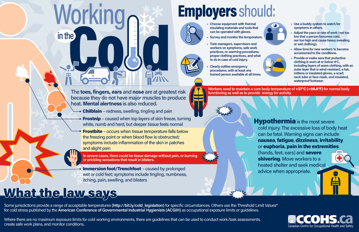 Workplace safety infographic regarding working in the cold
